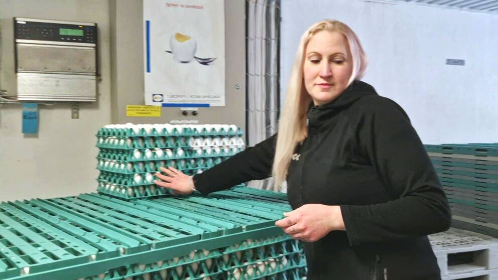 En äggproducent staplar upp ägg.