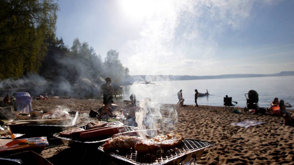 Människor grillar vid vatten.