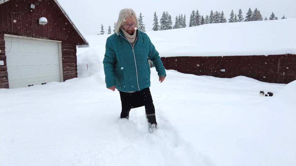 Gunilla i Gördalen pulsar genom snön som fallit senaste dagarna. Snödjupet var ungefär 120 centimeter på torsdagen.