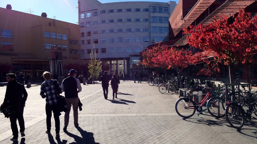 Hur Många Studenter I Lund