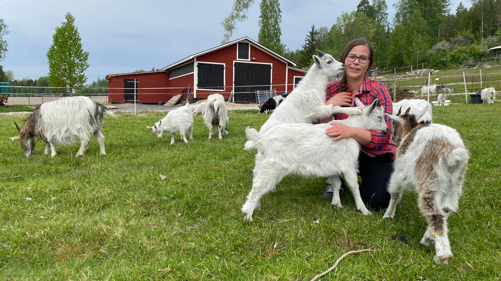 Kvinna omgiven av getter framför en röd lada.