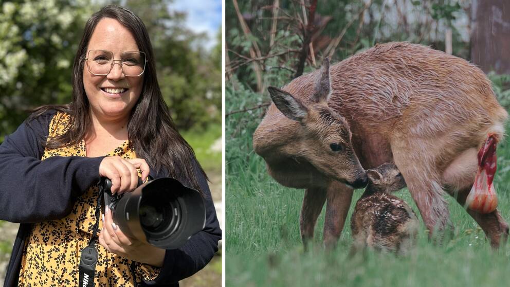 Sandra Malmgren står med ett leende på läpparna och håller i sin kamera/ rådjursmamman gör rent kidet