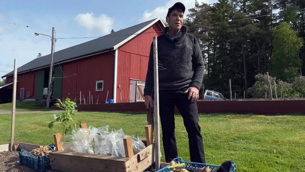 man står intill odlingslåda. framför honom står backar med växter som ska planteras