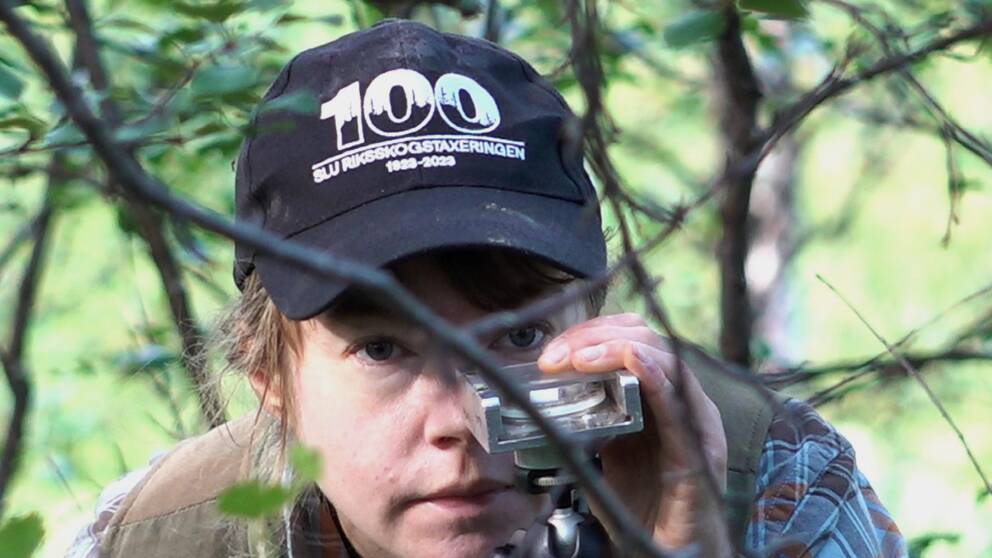 En kvinnlig forskare tar kompassrikning i skogen