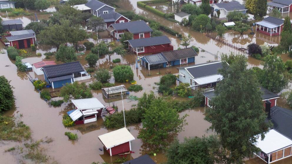 Översvämmat bostadsområde med vägar och trädgårdar täckta av vatten.