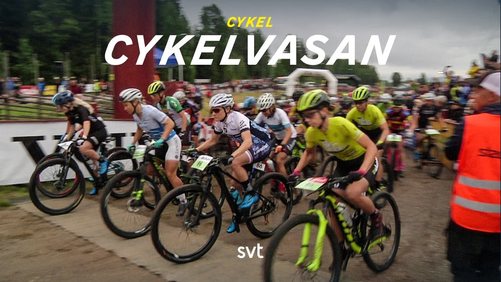 Cykelvasan