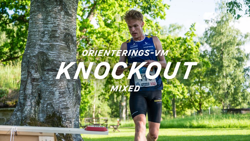 Orientering: VM