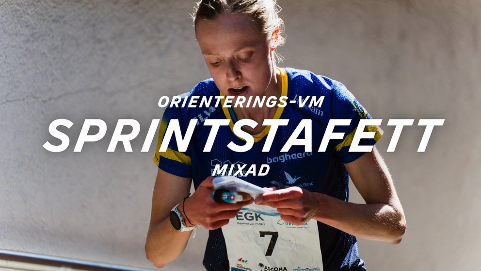 Orientering: VM