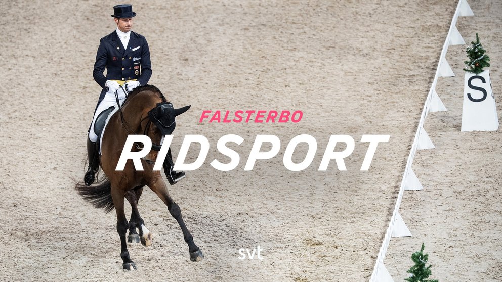 Falsterbo horse show