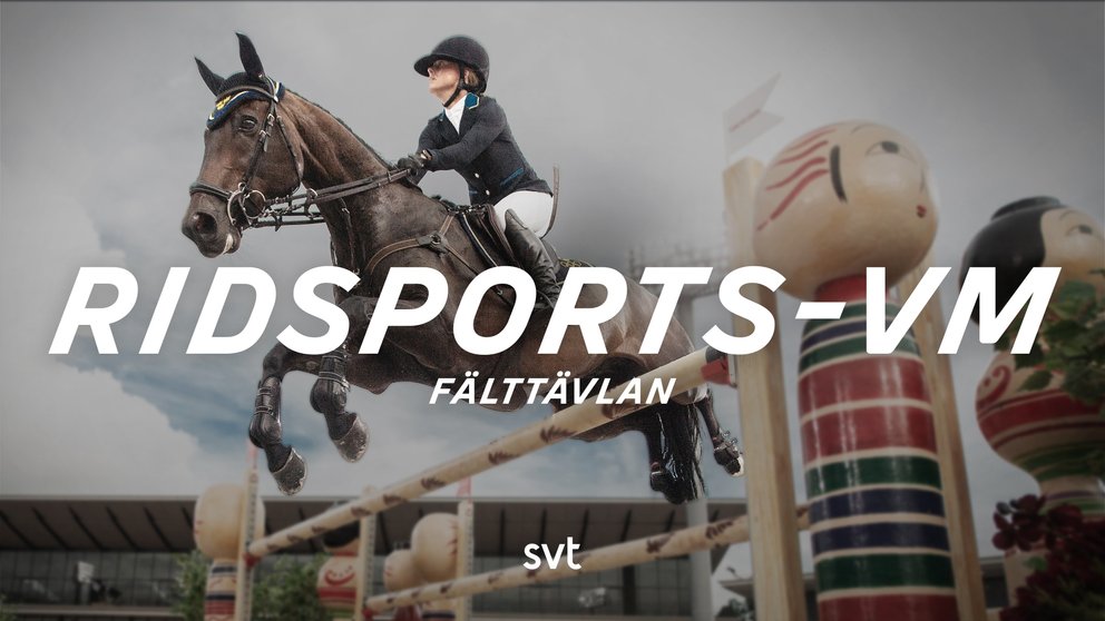 Ridsport: VM
