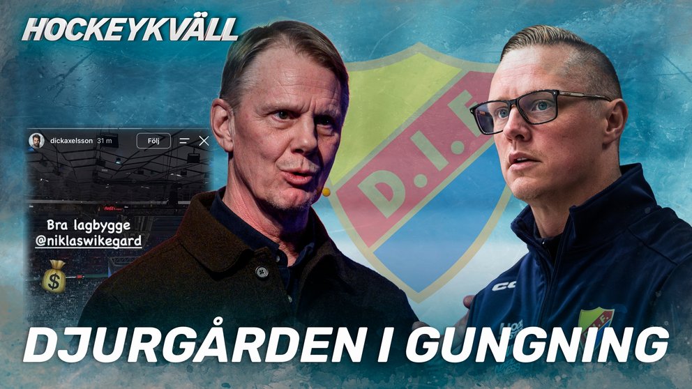 Hockeykväll