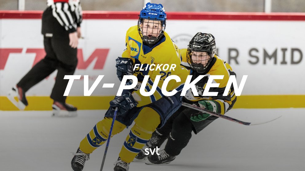 Ishockey: TV-pucken