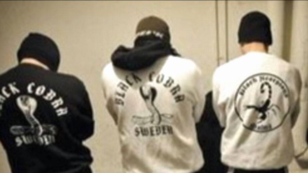 Black Cobra fortsätter begå brott SVT Nyheter