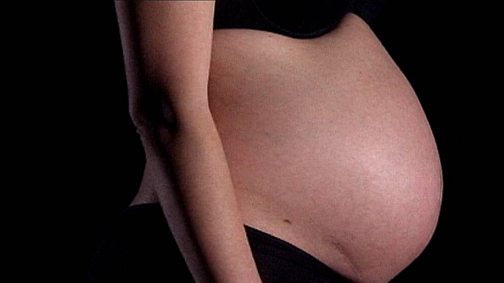 Gravid