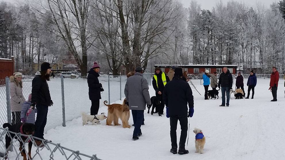 Hundar och hundägare inviger hundlekplats i Kumla