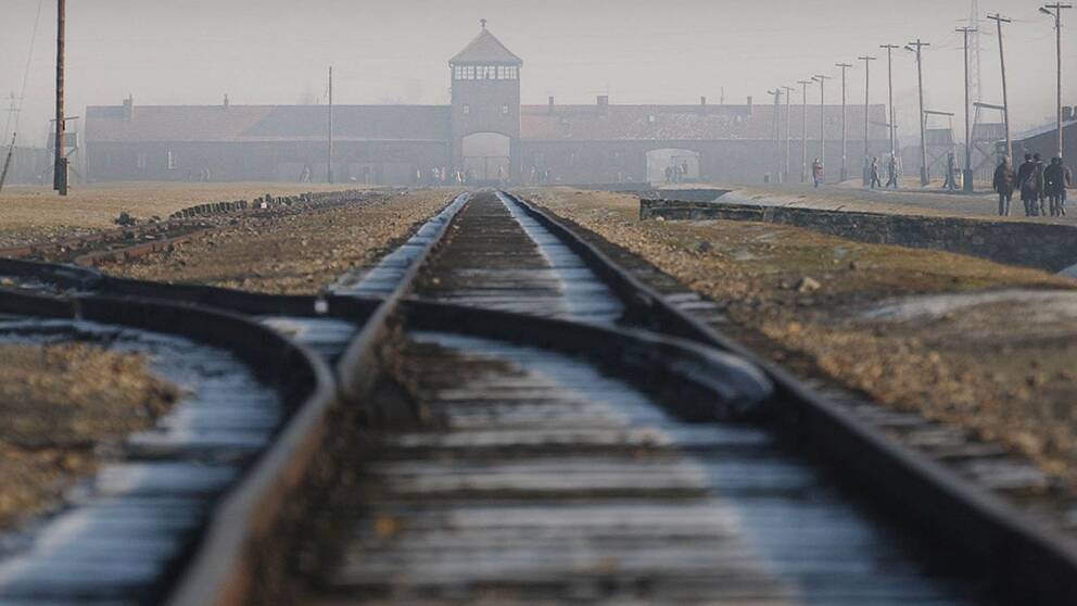 I dag är det 71 år sedan utrotningslägret Auschwitz-Birkenau befriades.