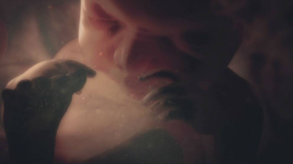 Foster i mage (foto BBC)