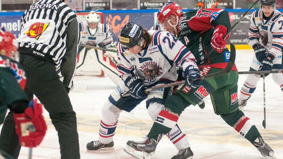 Säsongen över för Halmstad Hammers SVT Nyheter