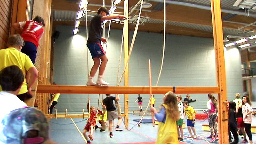 SVT besökte Tyresö skola utanför Stockholm, och där vill eleverna ha mer idrott i skolan.