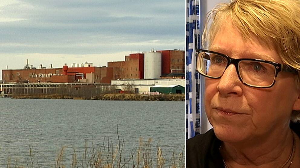 – Vi har fått frågan om att ta emot flykngbåten men tackat nej, säger Timrås kommunalråd Ewa Lindstrand (S).