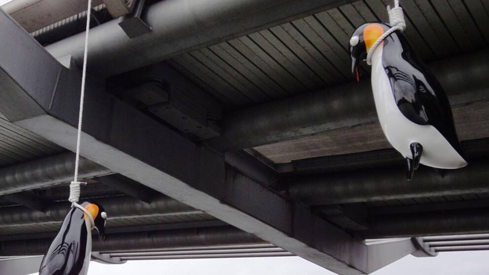 Vincent J F Huangs konstverk “Suicide Penguines”.