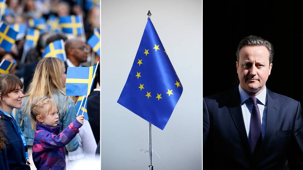 barn som viftar svensk flagga och en eu-flagga samt en bild på Storbritanniens premiärminister David Cameron