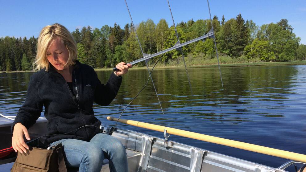 Anna Hagelin lyssnar efter smolt.