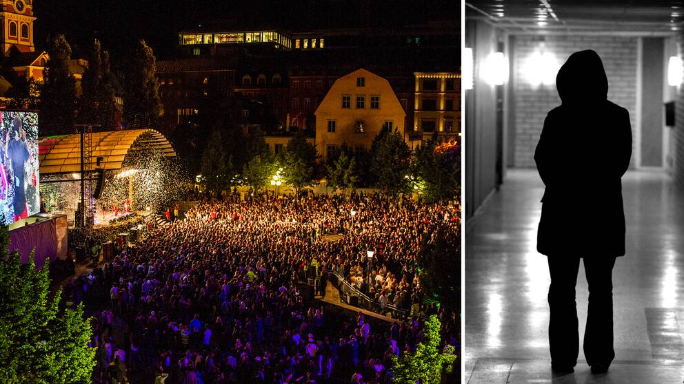 På festivalen We are Stockholm utsattes flera kvinnor för sexuella ofredanden.