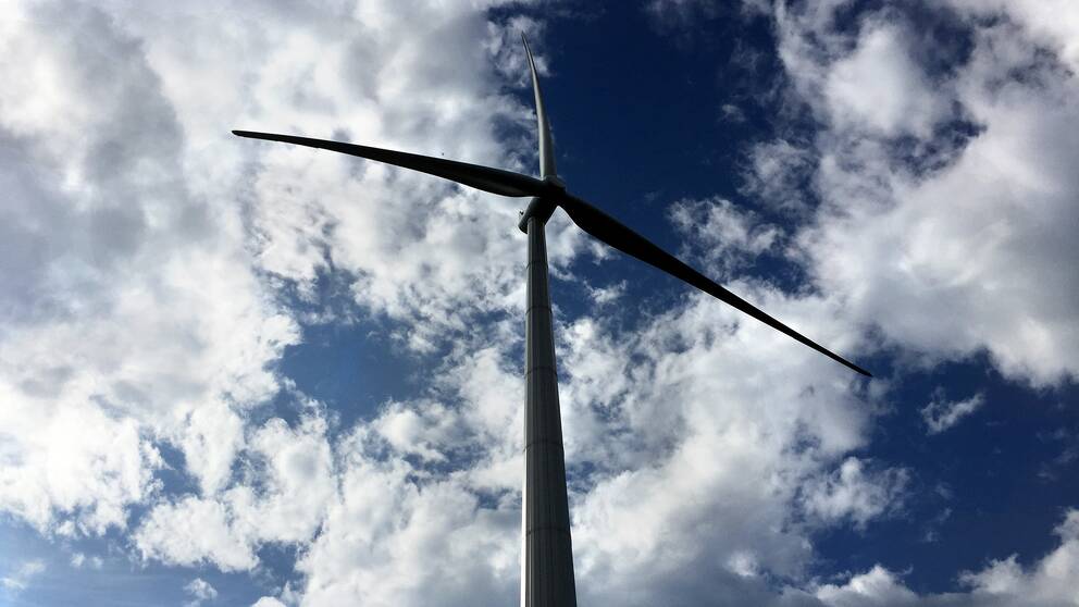 En bild på ett vindkraftverk.