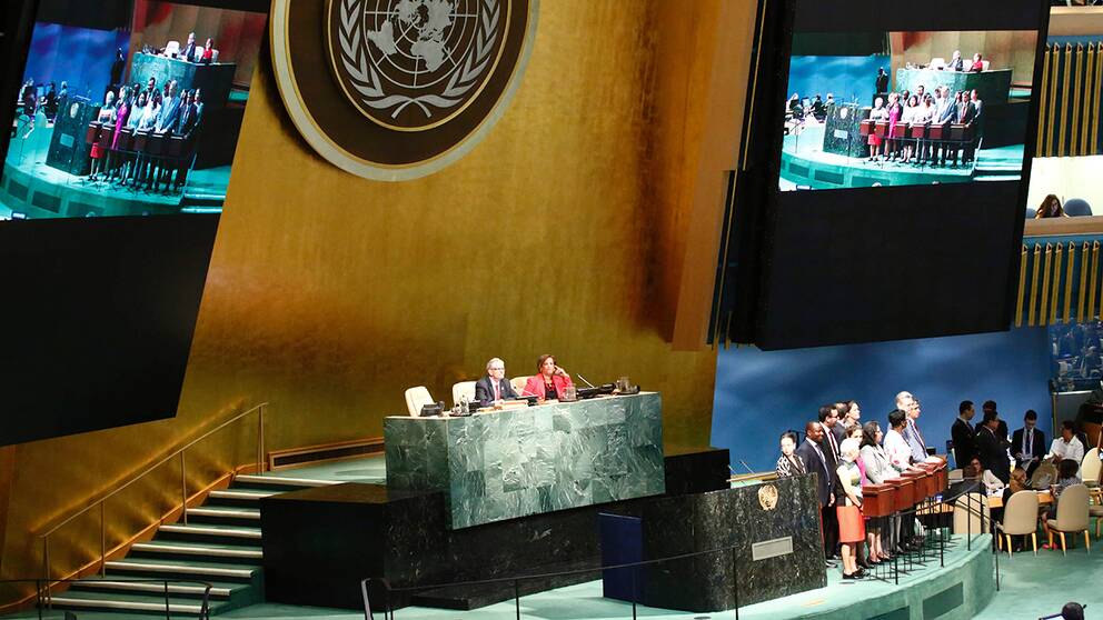 Omröstning i FN