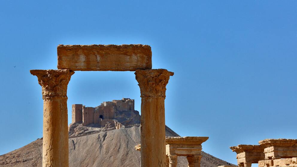 Palmyra i Syrien, en av alla platser där kulturarv förstörts och plundrats.