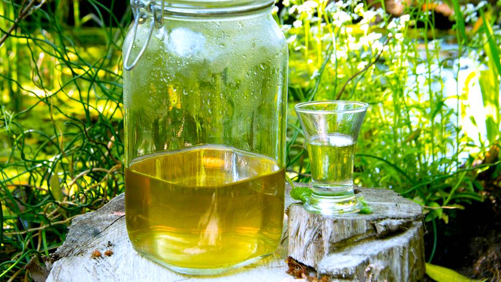 Snabb besk (snaps) SVT recept