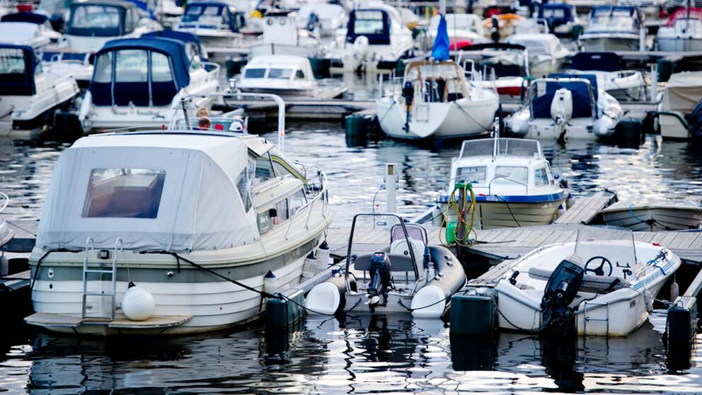 Fritidsbåtar i hamn.