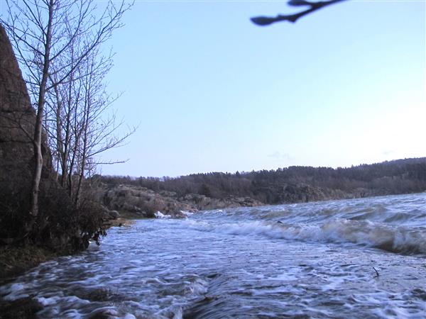 Brofjorden i Lysekils kommun tidigare i dag när det blåste mindre än nu. I vanliga fall löper här en grusväg längs bergsidan och strandkanten ligger en bra bit ut. Foto: Sigvard Gustavsson