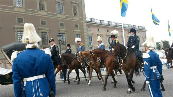 Nu planerar man för kortegen och man rider in med hästar till Slottskyrkan.