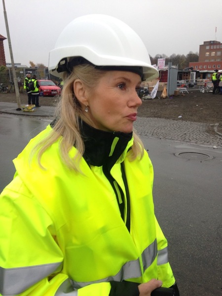 Malmö stads personal är på plats för att inleda sitt arbete. "Det är en väldig tråkig situation, men vårt uppdrag är tydligt", säger Jeanette Silow, avdelningschef på miljöförvaltningen. 


