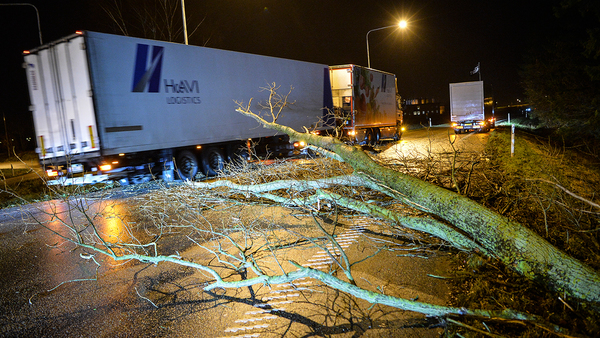 Ett träd har blåst ned över vägen vid påfarten till E6 vid Landskrona sedan stormen Gorm dragit in över södra Sverige. Foto: TT