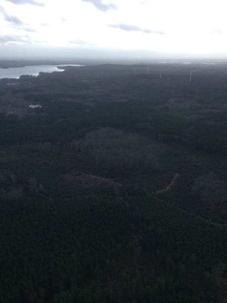 Bilderna som kablades ut efter stormar som Gudrun är inget vi får uppleva här ovan efter Gorm. Skogsmarkerna ser lyckligtvis ut att ha klarat sig bra här i nordöstra Skåne.