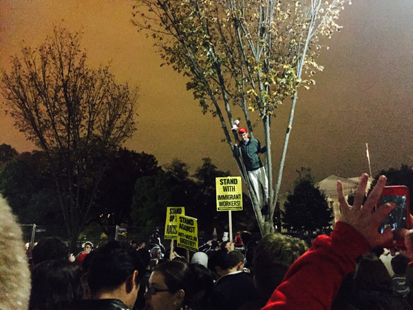 En ung man med "Make America Great again"-keps står uppe i ett träd, nedanför många besvikna Clinton-anhängare.