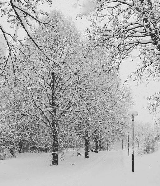 #autumn???? #snow #park #stockholm #