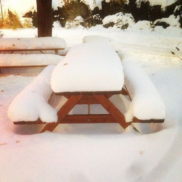 #snow #snowfall #stockholm