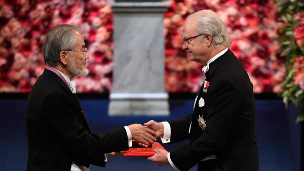 Medicinpristagaren Yoshinori Ohsumi får priset av kungen tidigare i dag under prisutdelningen i Konserthuset.