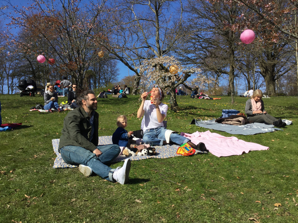 Marcus och Karolina med barnen Deia och Ava valde att fira Valborg på Botaniska för att de älskar att se körsbärsträden blomma.