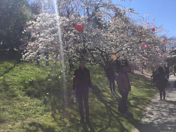 [Göteborg]
- Vi slår nog besöksrekord i år. Jag har aldrig sett så mycket folk här, säger Agneta Green, kommunikatör på Botaniska.