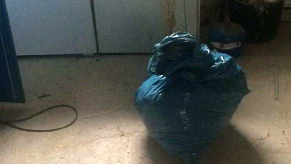 Björnskinnet hittades i en blå plastpåse i 37-åringens frys. Foto: Polisen