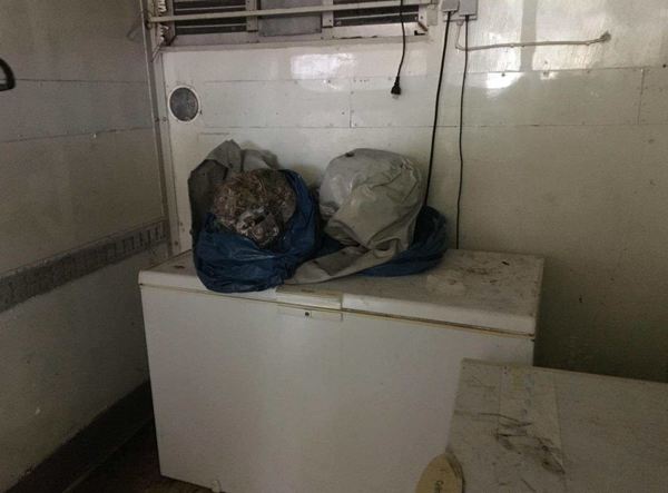 Foton från polisens razzia där en björnskalle hittades i en frys. Foto: Polisen