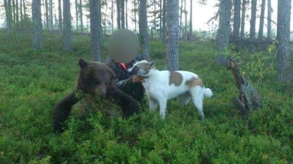 Den huvudmisstänkte åtalas för sex falll av grova jaktbrott, anstiftan till jaktbrott, medhjälp till jaktbrott, grovt vapenbrott och brott mot vapenlagen. Foto: från polisens förrundersökning