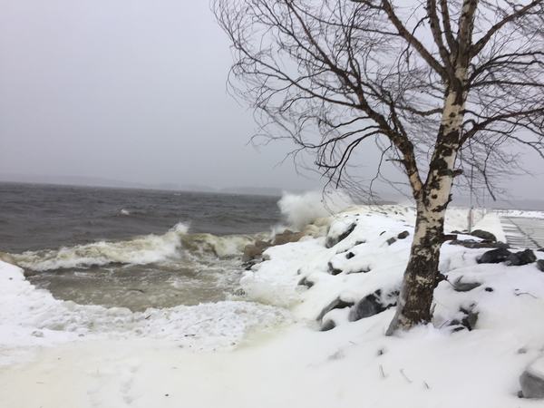 SVTs team berättar att det är hårda vindar ute vid kusten i Luleå. Foto: Fredrik Westerberg