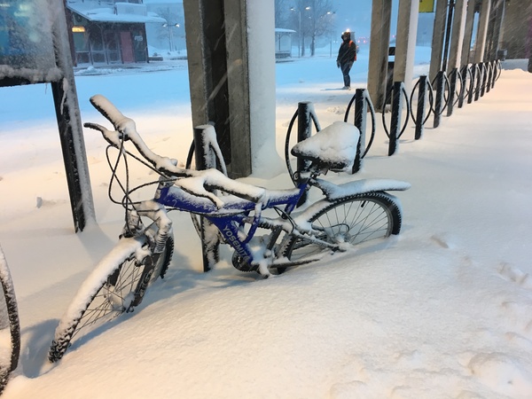 Snön har halvt begravt någons cykel.