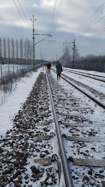 Pendelresenärer fick lämna vagnarna via tågspåren tidigare i morse sedan ett strömlöst tåg från Uppsala tvingades evakuera. Tåget, som avgick från Uppsala 06.48, stod still 500 meter norr om Märsta station. Orsaken var en nedriven kontaktledning. Foto: Bodil Brutemark